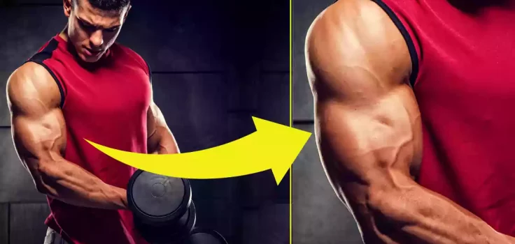 Best Exercises To Get Bigger Biceps - Tips and Tricks
