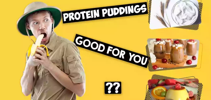 How Protein Puddings Are Good for You_