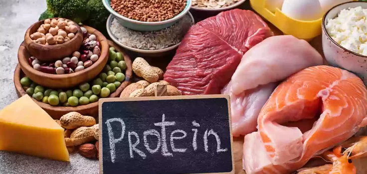 What Are High-Quality Proteins and Their Food Sources