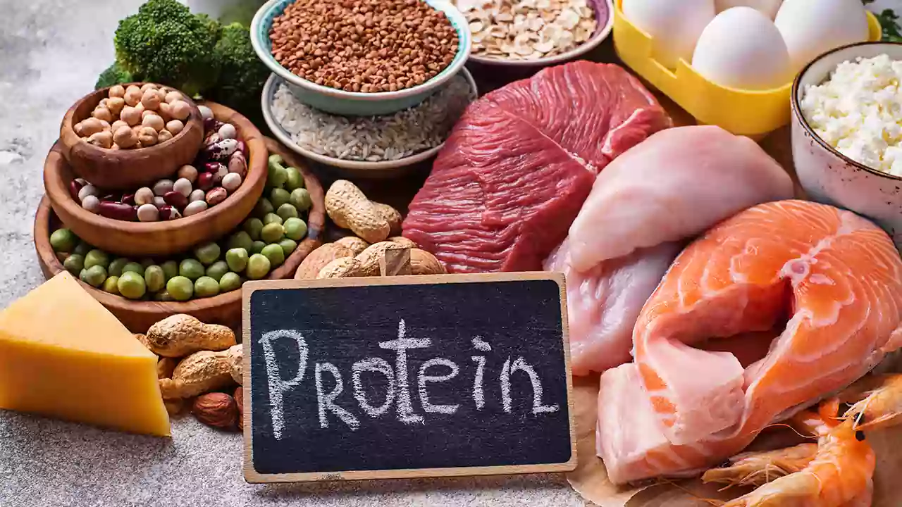 What Are High-Quality Proteins and Their Food Sources