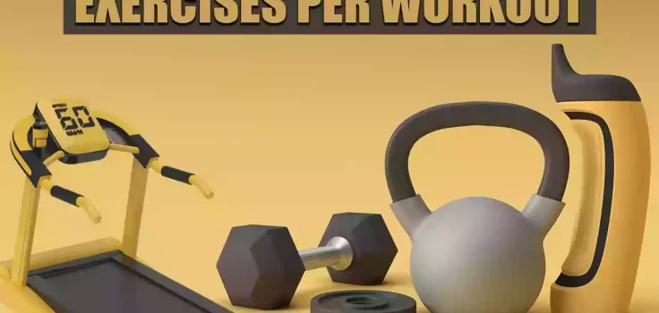 How Many Exercises Per Workout You Should Do