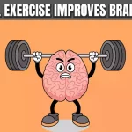 How Physical Exercise Improves Brain Health