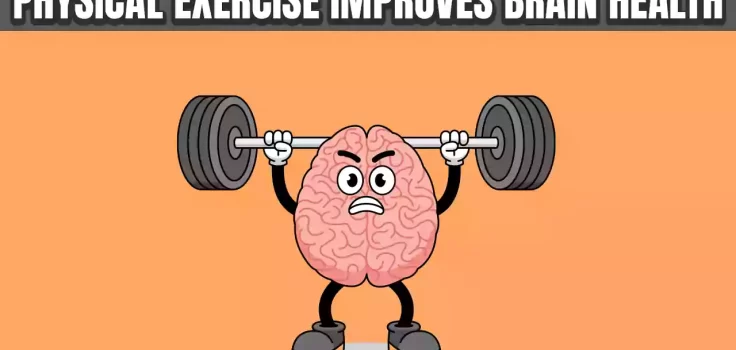 How Physical Exercise Improves Brain Health