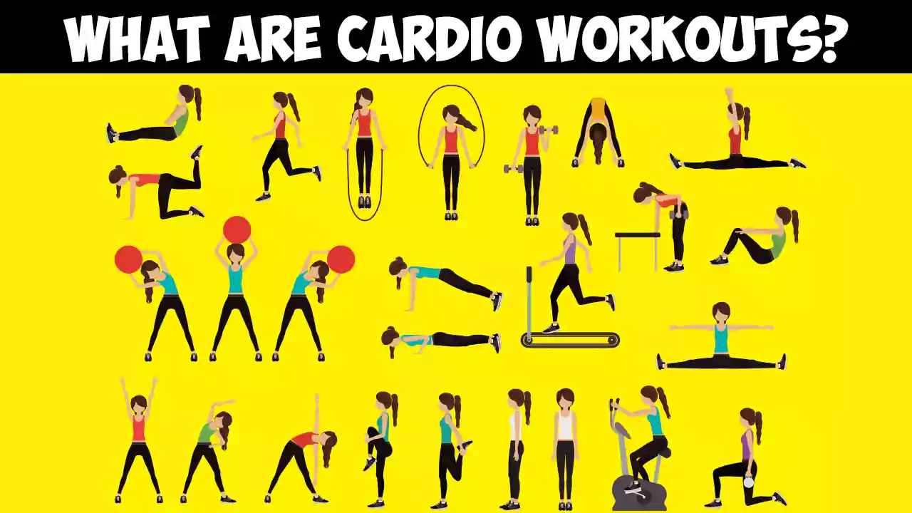 What Are Cardio Workouts
