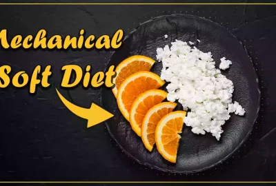 What is the Mechanical Soft Diet