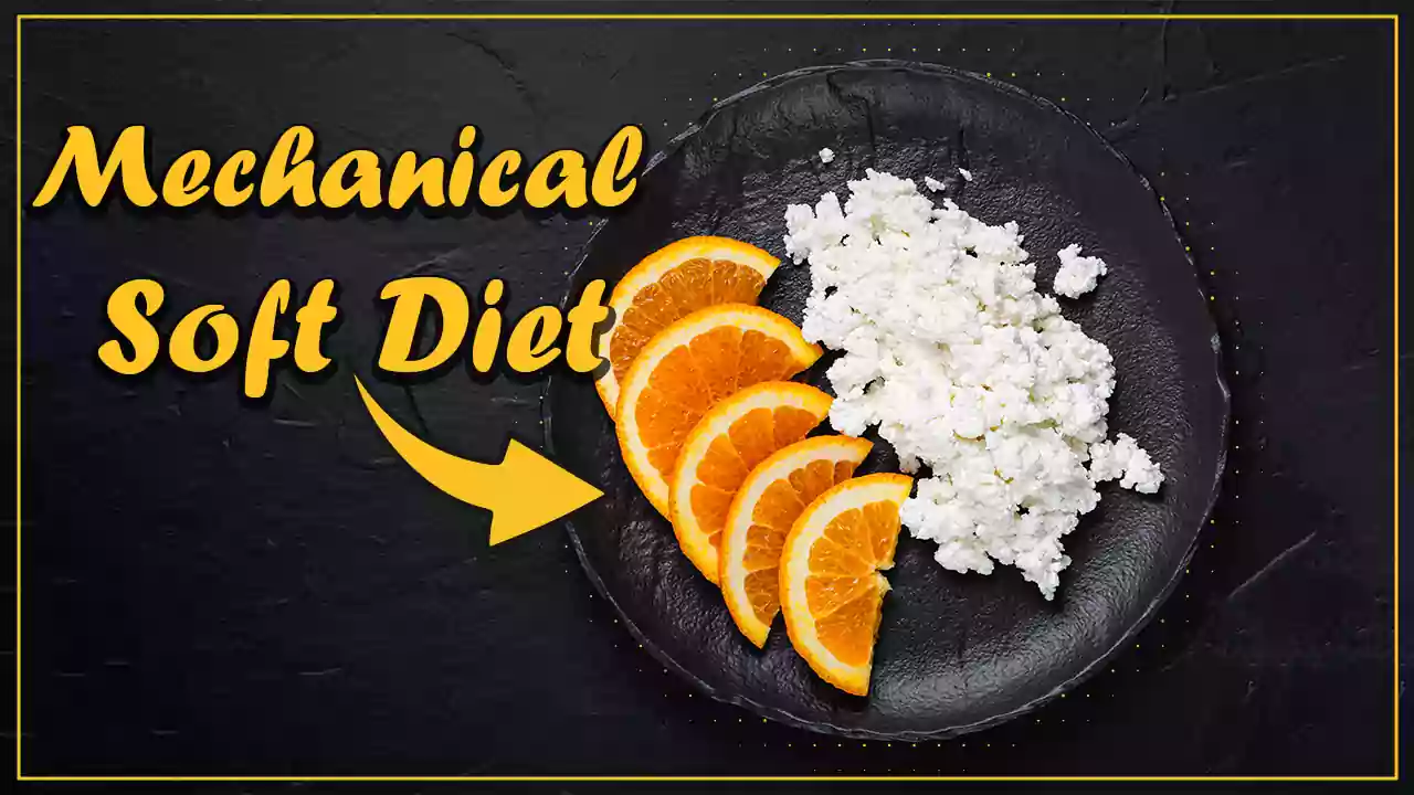 What is the Mechanical Soft Diet