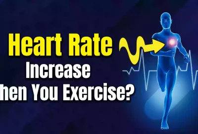 Why Does Your Heart Rate Increase When You Exercise