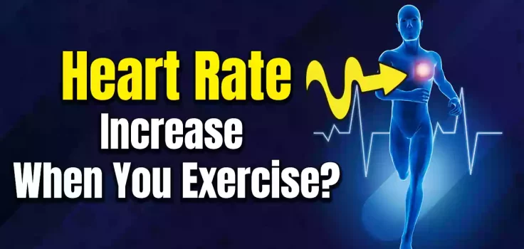 Why Does Your Heart Rate Increase When You Exercise