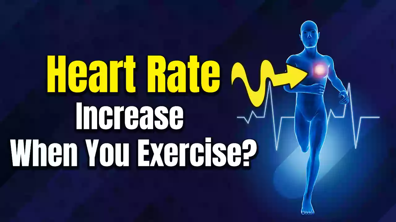 Why Does Your Heart Rate Increase When You Exercise