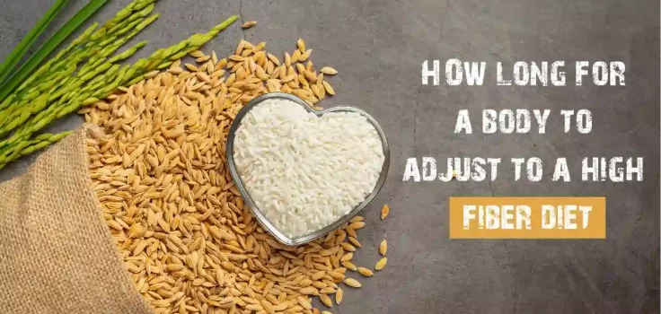 How Long For A Body To Adjust To A High Fiber Diet?