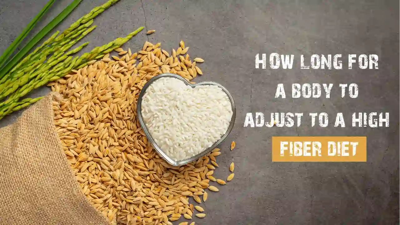 How Long For A Body To Adjust To A High Fiber Diet?