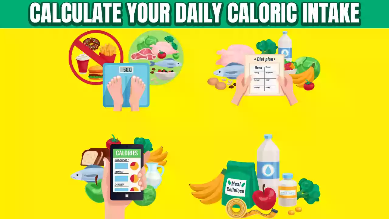 How To Calculate Your Daily Caloric Intake