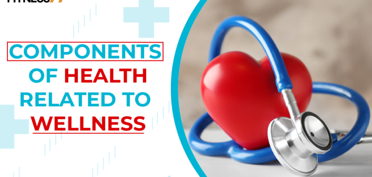 How are Components of Health Related to Wellness?