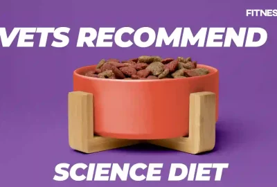 Why Do Vets Recommend Science Diet