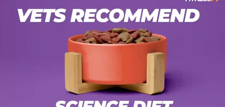 Why Do Vets Recommend Science Diet