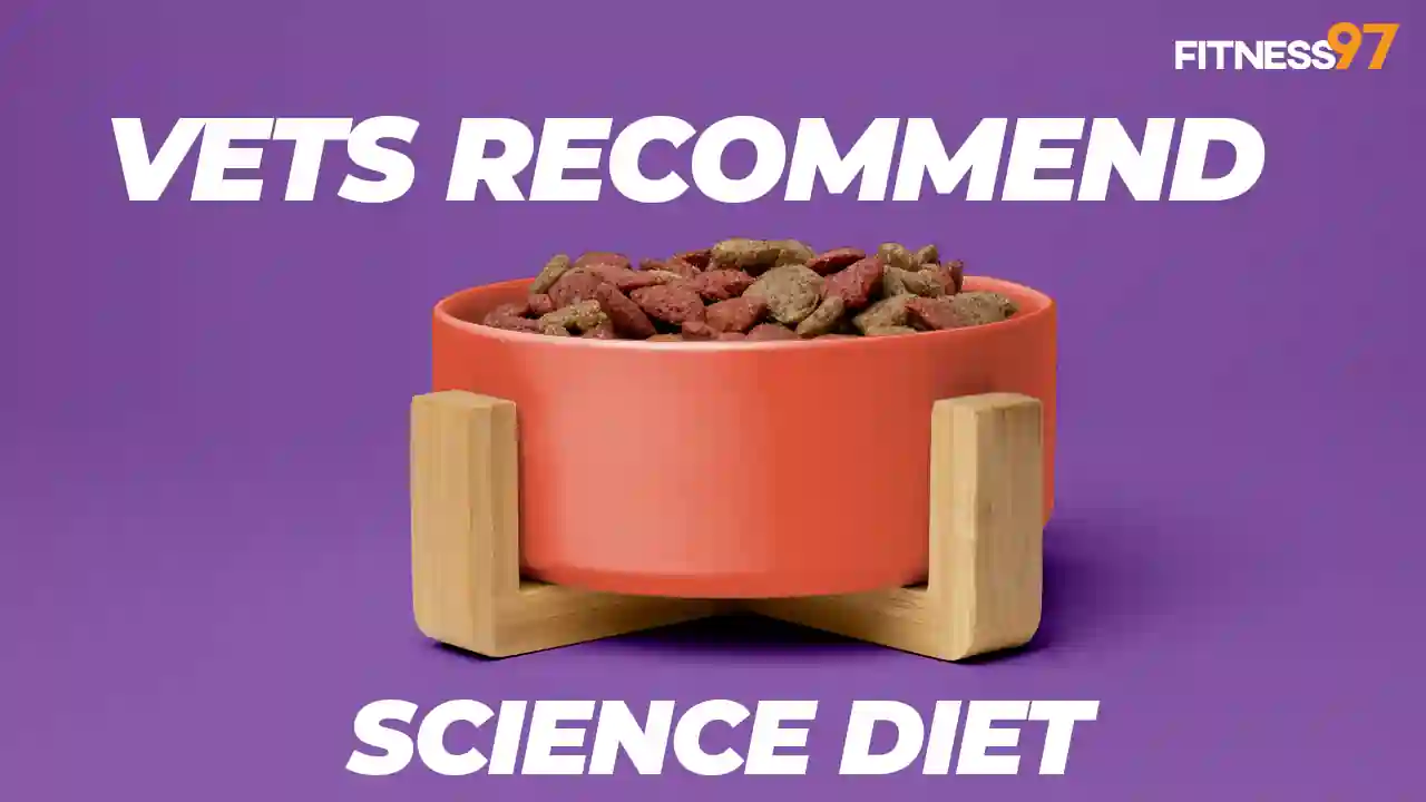 Why Do Vets Recommend Science Diet