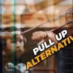 Pull-up Alternatives