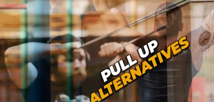 Pull-up Alternatives