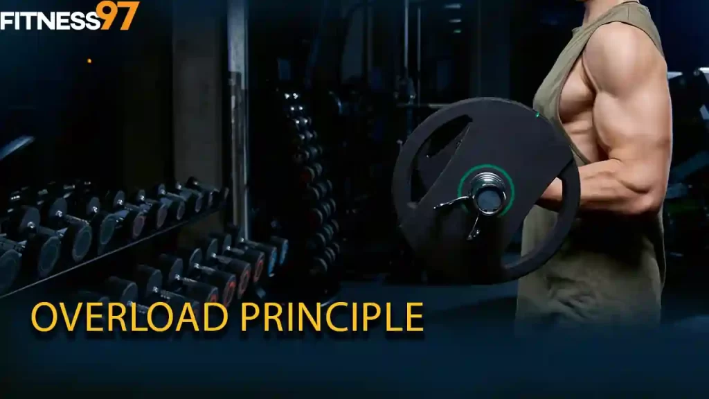 Overload Principle