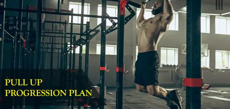 Pull-up progression plan