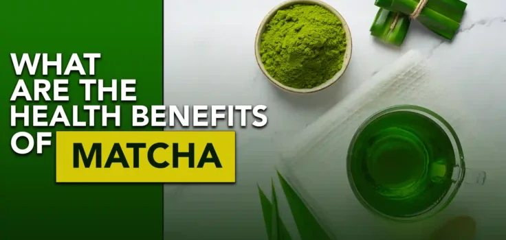 Health Benefits of Matcha