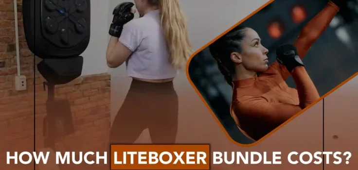 How much liteboxer bundle costs