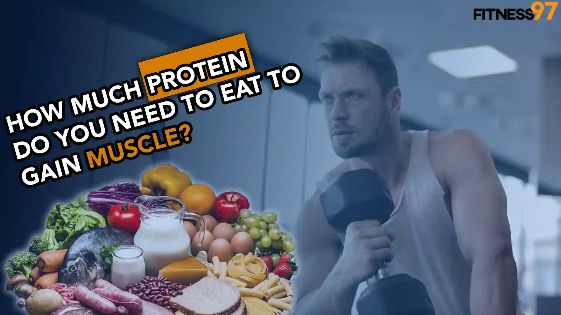 How Much Protein Do You Need To Eat To Gain Size (Muscle)?