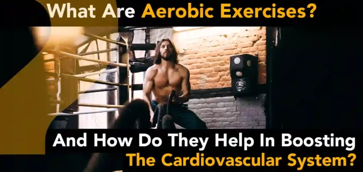 What are Aerobic Exercises and How do They Help in Boosting the Cardiovascular System?