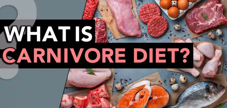 WHAT IS A CARNIVORE DIET? HOW DOES IT WORK?