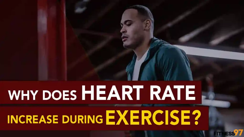 Why Does Heart Rate Increase During Exercise?