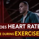 Why Does Heart Rate Increase During Exercise?