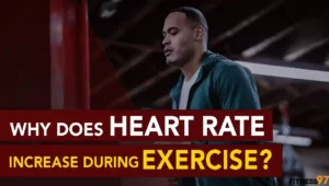 Why Does Heart Rate Increase During Exercise?