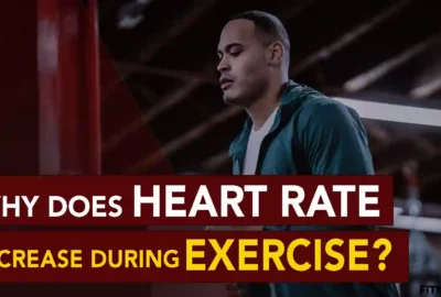 Why Does Heart Rate Increase During Exercise?