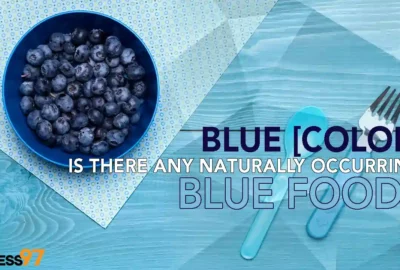 Blue (Color Is There Any Naturally Occurring Blue Food