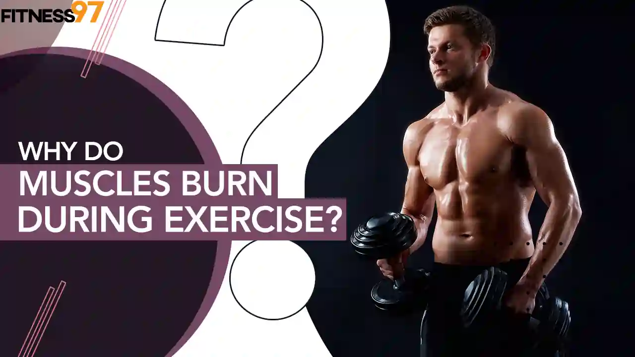 why-do-muscles-burn-during-exercise-fitness97